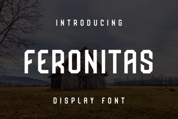 Feronitas: A Bold, Unique Display Font for Modern Designers